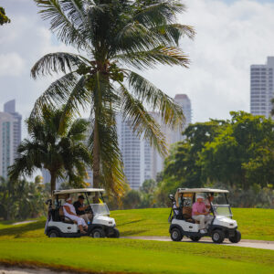 AAI Golf Cart South Florida Transportation